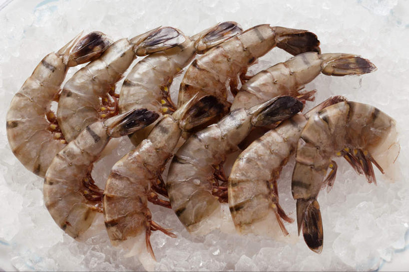 海鲜,无人,横图,俯视,室内,特写,白天,许多,阴影,反射,影子,冰,虾,冰块,冷冻,水产,海洋生物,排列,寒冷,摄影,影棚,冷藏,虾肉,冰冷,水生动物,海产品,水生物,海底动物,保鲜,摆列,老虎虾,彩图,高角度拍摄,影棚拍摄,拍摄,布列,分列