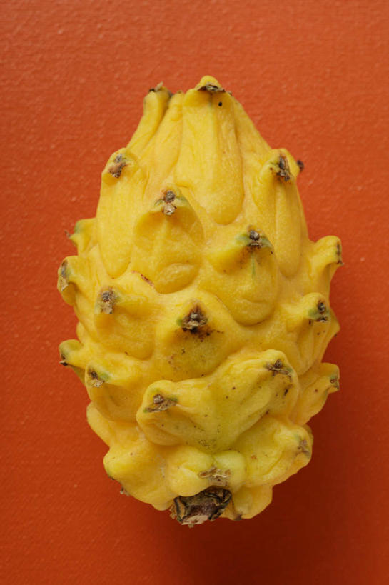 无人,竖图,俯视,室内,特写,白天,餐桌,桌子,阴影,红色背景,反射,影子,火龙果,一个,黄色,青龙果,摄影,影棚,单个,餐台,麒麟果,彩图,高角度拍摄,影棚拍摄,拍摄