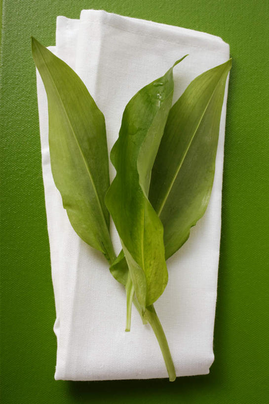 无人,竖图,俯视,室内,特写,白天,桌面,桌子,蔬菜,纺织品,绿色背景,阴影,新鲜,反射,木制,布,影子,食品,织物,食物,绿色,木制品,摄影,有机食品,绿色食品,影棚,布匹,熊葱,卡其布,林地蒜,野蒜菜,彩图,高角度拍摄,影棚拍摄,拍摄