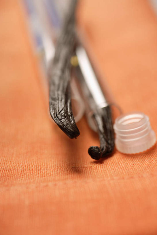 无人,竖图,俯视,室内,特写,白天,植物,餐桌,桌子,阴影,朦胧,模糊,反射,影子,草药,药草,中药,两个,黑色,清热,摄影,影棚,餐台,药材,中草药,香草兰,中药材,本草,解毒,婆绒花,山薄荷,石母草,彩图,高角度拍摄,影棚拍摄,拍摄