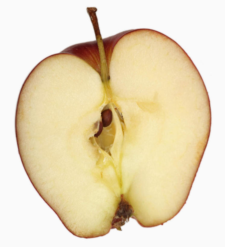 无人,竖图,室内,特写,白天,白色背景,正面,苹果,水果,切开,阴影,新鲜,反射,影子,生食,食品,果实,蛇果,食物,一个,红色,切,摄影,有机食品,绿色食品,影棚,单个,剖面,切面,红元帅,彩图,影棚拍摄,拍摄