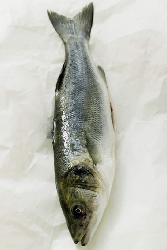 无人,竖图,俯视,室内,特写,白天,白色背景,餐桌,桌子,一条,阴影,反射,鱼,影子,鱼类,摄影,影棚,餐台,鲈鱼,花鲈,鲈板,鲈子鱼,彩图,高角度拍摄,全身,影棚拍摄,拍摄