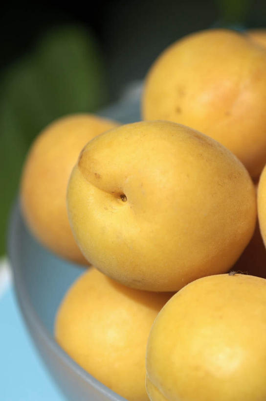 无人,竖图,俯视,室外,特写,白天,餐桌,桌子,杏,水果,一堆,许多,阴影,堆叠,堆积,朦胧,模糊,新鲜,反射,影子,生食,食品,果实,食物,黄色,有机食品,绿色食品,餐台,堆,杏果,荡涤,洗濯,杏子,清洗,彩图,高角度拍摄