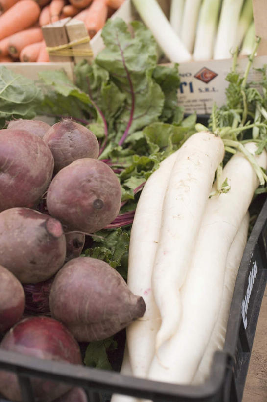 无人,商店,竖图,俯视,室内,特写,白天,购物,消费,超市,萝卜,胡萝卜,蔬菜,一堆,许多,阴影,堆叠,堆积,朦胧,模糊,新鲜,反射,影子,生菜,莴苣,食品,货架,架子,食物,金融,百货,有机食品,绿色食品,堆,紫薯,陈列架,选购,贸易,百货公司,血拼,春菜,鹅仔菜,莴仔菜,千金菜,叶用莴苣,黑薯,超市货架,紫红薯,超级市场,大卖场,山芋,红萝卜,甘荀,甘薯,番薯,地瓜,彩图,高角度拍摄,购物商场,购物中心,商业中心