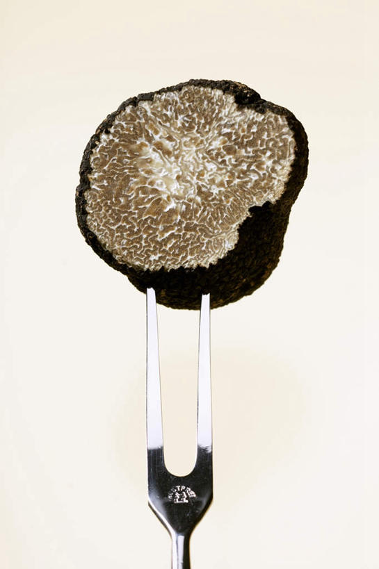 无人,竖图,俯视,室内,特写,白天,桌面,桌子,蔬菜,餐具,阴影,新鲜,反射,木制,叉子,影子,菌菇,食品,松露,菌类,食物,一个,木制品,食用菌,摄影,有机食品,绿色食品,影棚,单个,餐叉,黑松露,进餐用具,彩图,高角度拍摄,影棚拍摄,拍摄