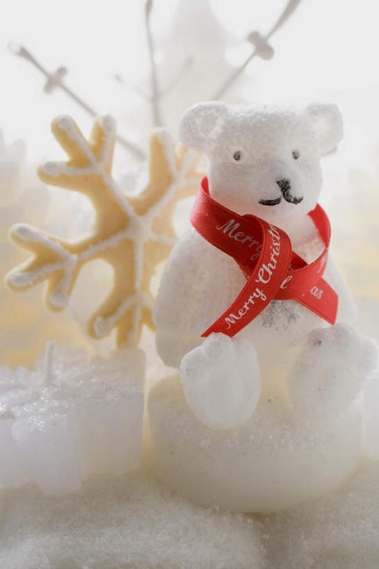 点心,无人,竖图,俯视,室内,特写,白天,餐桌,桌子,北极熊,熊,圣诞节,阴影,节日,朦胧,模糊,庆祝,装饰,反射,丝绸,丝带,影子,食品,甜点,缎带,文化,绸带,食物,糕点,饼干,甜食,零食,庆典,摄影,影棚,餐台,纪念,华丽,修饰,点缀,衬托,美观,雅致,雅观,装饰饼干,白熊,彩图,高角度拍摄,影棚拍摄,拍摄