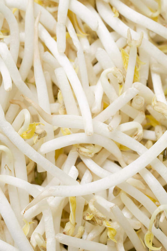 无人,竖图,俯视,室内,特写,白天,蔬菜,许多,大量,朦胧,模糊,新鲜,豆芽,食品,食物,有机食品,绿色食品,豆芽菜,芽苗菜,彩图,高角度拍摄