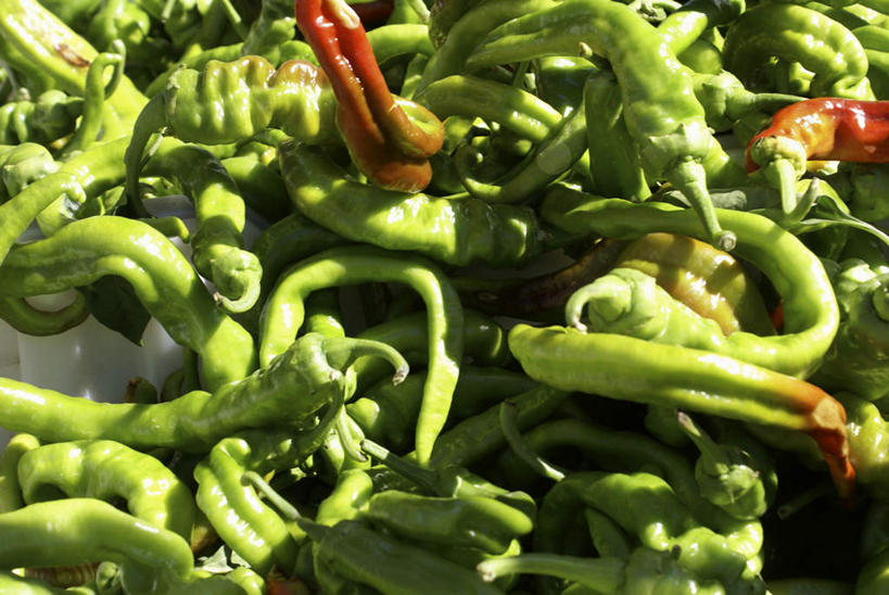 无人,横图,俯视,室外,特写,白天,辣椒,一堆,许多,阴影,堆叠,堆积,朦胧,模糊,反射,影子,堆,辣角,大椒,辣虎,广椒,墨西哥辣椒,哈雷派尼奥,哈雷派尼奥辣椒,辣子,海椒,番椒,彩图,高角度拍摄