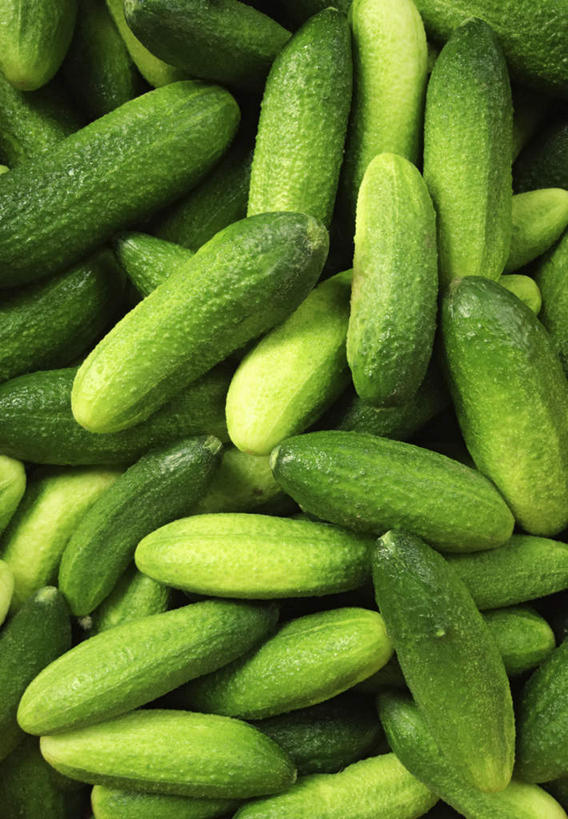 无人,竖图,俯视,室内,特写,白天,黄瓜,蔬菜,一堆,许多,堆叠,堆积,朦胧,模糊,新鲜,瓜果,食品,食物,绿色,有机食品,绿色食品,堆,青瓜,胡瓜,彩图,高角度拍摄