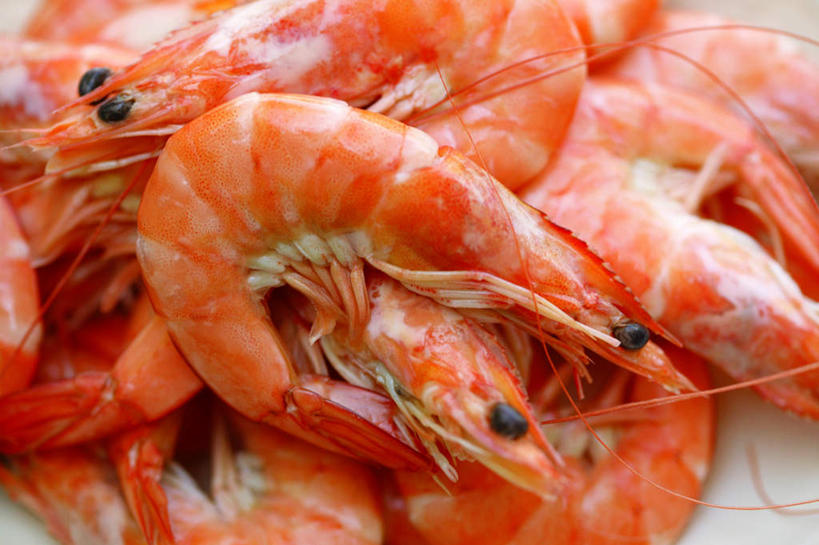 无人,横图,俯视,室内,特写,白天,烹饪,西餐,餐桌,桌面,桌子,一堆,许多,阴影,堆叠,堆积,反射,触须,影子,虾,鲜虾,料理,食品,菜肴,美食,食物,红色,西式,摄影,佳肴,影棚,餐台,虾壳,堆,虾肉,油闷大虾,彩图,高角度拍摄,影棚拍摄,拍摄