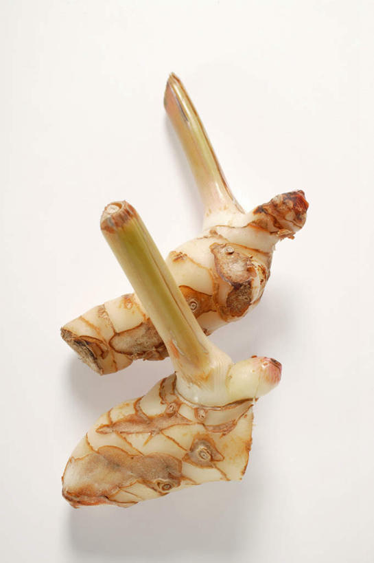 无人,竖图,俯视,室内,特写,白天,白色背景,植物,餐桌,桌子,阴影,反射,影子,草药,药草,中药,两个,摄影,影棚,餐台,药材,中草药,高良姜,中药材,本草,风姜,枫姜,高凉姜,良姜,蛮姜,小良姜,彩图,高角度拍摄,影棚拍摄,拍摄