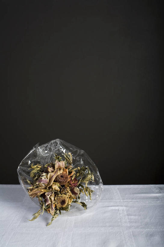 无人,竖图,室内,特写,白天,正面,阴影,黑色背景,反射,影子,花蕾,花,花瓣,干花,花苞,花蕊,摄影,影棚,腐烂,腐败,腐臭,腐朽,彩图,影棚拍摄,拍摄