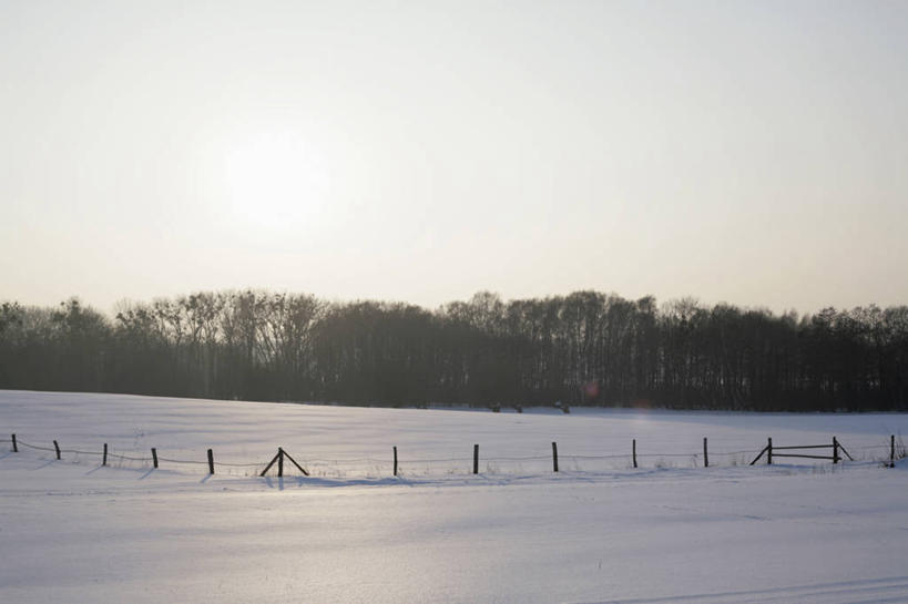 无人,栏杆,横图,室外,白天,正面,旅游,度假,日出,美景,树林,太阳,雪,植物,大雪,德国,欧洲,一排,整齐,栅栏,积雪,景观,篱笆,雪景,冬季,冬天,围栏,朝霞,晨曦,黎明,娱乐,护栏,树,树木,排列,绿色,阳光,自然,享受,休闲,景色,放松,寒冷,生长,成长,西欧,队列,自然风光,德意志联邦共和国,严寒,勃兰登堡,勃兰登堡州,朝阳,彩图,卯时,破晓,日始