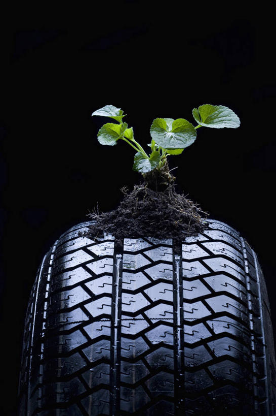 无人,竖图,室内,特写,白天,正面,植物,阴影,黑色背景,环保,反射,影子,泥土,土壤,一个,绿色,黑色,自然,轮胎,橡胶,摄影,影棚,生长,能源,单个,成长,回收,资源,利用,红壤,橡胶制品,低碳,循环,车胎,持续,红土,彩图,影棚拍摄,拍摄,外胎