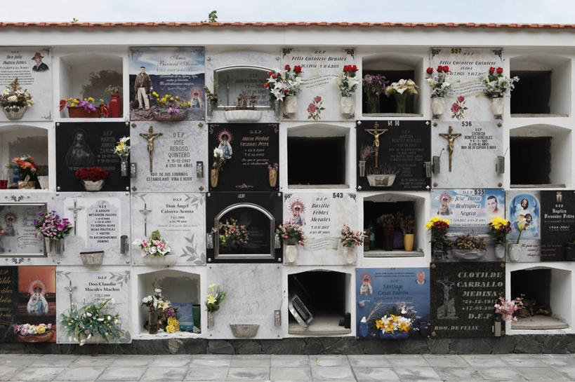 无人,横图,室外,白天,正面,爱情,旅游,度假,标志建筑,地标,建筑,西班牙,欧洲,盛开,英文,标志,文字,字符,字母,建筑群,花蕾,娱乐,标识,建设,花,花瓣,花朵,鲜花,花苞,花蕊,享受,休闲,墓地,菊花,放松,英文字母,吉祥,坟墓,陵墓,加纳利群岛,南欧,加那利群岛,坟场,西班牙王国,高洁,长寿,怀恋,清净,真情,寿客,秋菊,费罗岛,耶罗岛,彩图