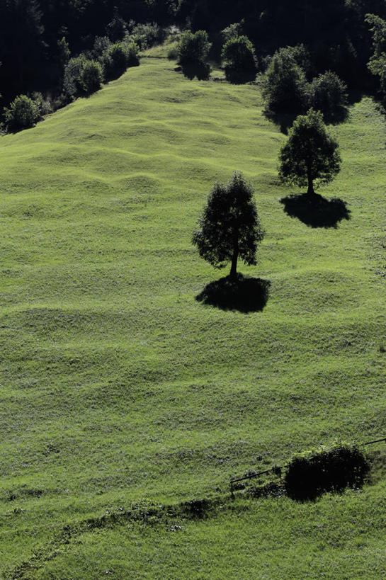 无人,竖图,俯视,室外,白天,旅游,度假,草地,草坪,石头,美景,山,山脉,树林,植物,瑞士,欧洲,阴影,光线,石子,影子,景观,山顶,山峰,山峦,首都,娱乐,伯尔尼,草,树,树木,绿色,阳光,自然,群山,享受,休闲,景色,放松,生长,成长,自然风光,中欧,沉积岩,瑞士联邦,伯尔尼州,颠峰,极峰,少女峰,水成岩,因特拉肯,劳特布龙嫩,石块,岩石,彩图,高角度拍摄