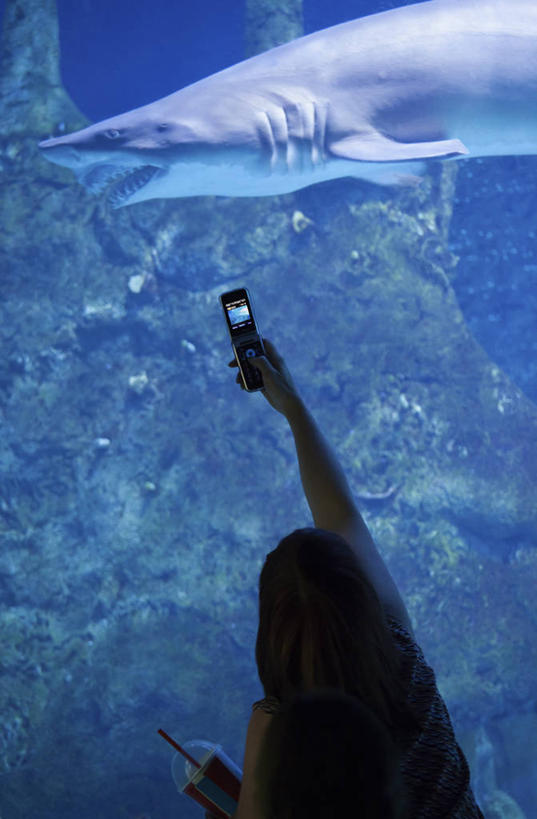 西方人,一个人,站,举,打电话,竖图,室内,白天,度假,美景,城市风光,城市,电话,手机,欧洲,美国,欧洲人,仅一个年轻女性,仅一个女性,仅一个人,表演,握,服装,景观,背光,拿,拿着,休闲装,娱乐,通讯设备,水族馆,背面,衣服,托,站着,享受,休闲,休闲服,展示,景色,放松,握着,海底世界,服饰,展览,北美,北美洲,饲养,美洲,逆光,新墨西哥,收集,一部,新墨西哥州,北亚美利加洲,亚美利加洲,迷人之地,迷人之州,阿尔伯克基,阿布奎基,极地海洋世界,交流,年轻女性,女人,女性,白种人,沟通,举起,举手,举着,通话,向上举,向上伸,向上托,站立,半身,彩图