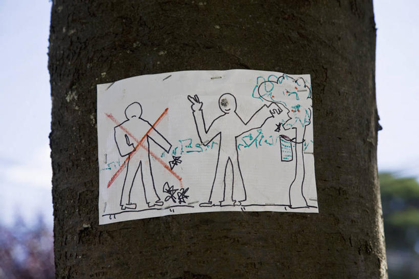 无人,横图,室外,特写,白天,正面,绘画,植物,艺术,树桩,古典,警告,文化,树,树干,树木,绿色,天空,自然,工艺品,天,品味,木桩,南美,警示,生长,成长,禁止,美术,提醒,南美洲,高雅,拉丁美洲,提示,限制,美洲,美学,亚美利加洲,南亚美利加洲,巴塔哥尼亚高原,巴塔哥尼亚,儿童画,危险,彩图