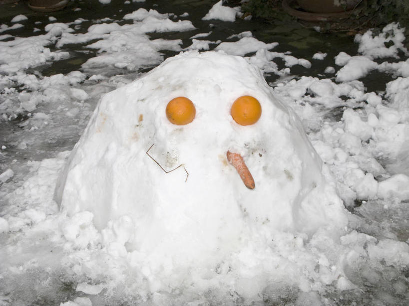 无人,横图,俯视,室外,白天,旅游,度假,游戏,美景,雪,大雪,萝卜,胡萝卜,蔬菜,瑞典,欧洲,新鲜,积雪,景观,雪景,雪人,冬季,冬天,食品,玩,娱乐,食物,自然,享受,休闲,橙色,景色,放松,寒冷,有机食品,绿色食品,活动,斯堪的纳维亚,发泄,消遣,智力,自然风光,北欧,斯堪的那维亚,斯堪的那维亚半岛,斯堪的纳维亚半岛,宣泄,严寒,哥得兰岛,瑞典王国,红萝卜,甘荀,玩耍,嬉戏,彩图,高角度拍摄,拟人