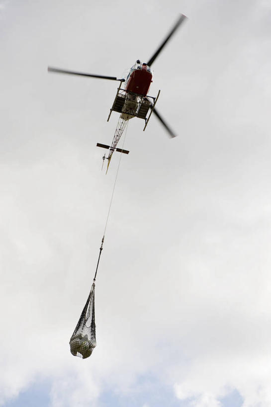 无人,竖图,室外,白天,仰视,生活用品,飞机,法国,欧洲,吊挂,悬挂,阴影,光线,影子,云,云朵,挂,云彩,航空,蓝色,白云,蓝天,天空,阳光,日用品,交通工具,天,一架,晴朗,直升机,直升飞机,载具,法兰西共和国,法兰西第五共和国,留尼汪,留尼汪岛,晴空,彩图,低角度拍摄