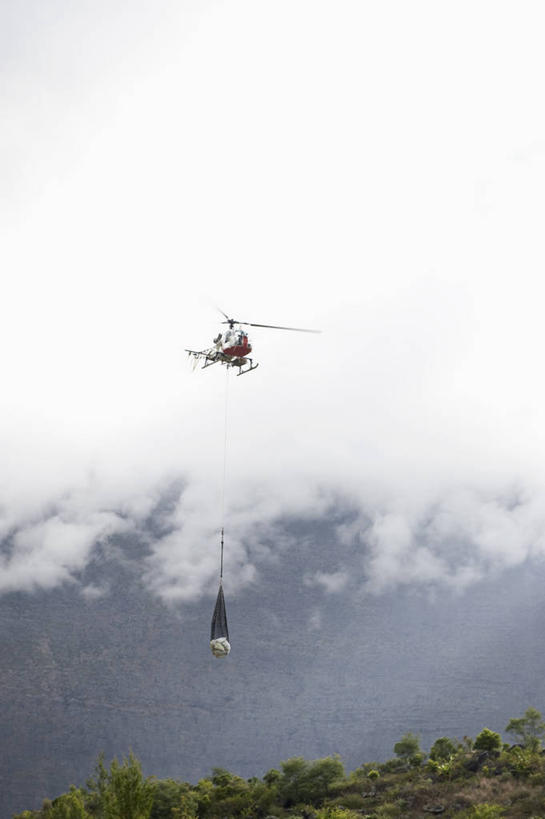 无人,竖图,室外,白天,仰视,旅游,度假,草地,草坪,美景,植物,生活用品,飞机,法国,欧洲,吊挂,悬挂,景观,云,云朵,挂,云彩,娱乐,航空,草,树,树木,绿色,白云,自然,日用品,交通工具,享受,休闲,景色,放松,一架,生长,成长,直升机,直升飞机,自然风光,载具,法兰西共和国,法兰西第五共和国,留尼汪,留尼汪岛,彩图,低角度拍摄