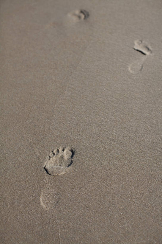 无人,竖图,俯视,室外,特写,白天,旅游,度假,美景,沙滩,美国,脚印,沙子,海岸,景观,沙地,娱乐,自然,享受,休闲,景色,放松,足迹,北美,北美洲,自然风光,美洲,弗吉尼亚,弗吉尼亚州,北亚美利加洲,亚美利加洲,维吉尼亚,老自治领州,行踪,脚迹,海滩,彩图,高角度拍摄