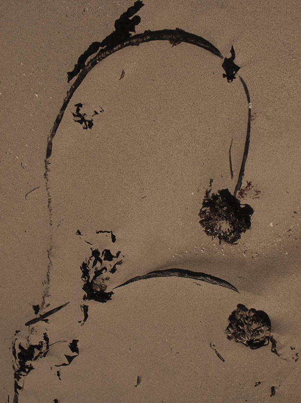 无人,竖图,俯视,室外,特写,白天,旅游,度假,美景,沙滩,非洲,南非,沙子,海岸,景观,沙地,首都,娱乐,自然,享受,休闲,海藻,景色,放松,海草,自然风光,开普敦,省会,阿非利加洲,立法首都,南非共和国,西开普省,海滩,彩图,高角度拍摄