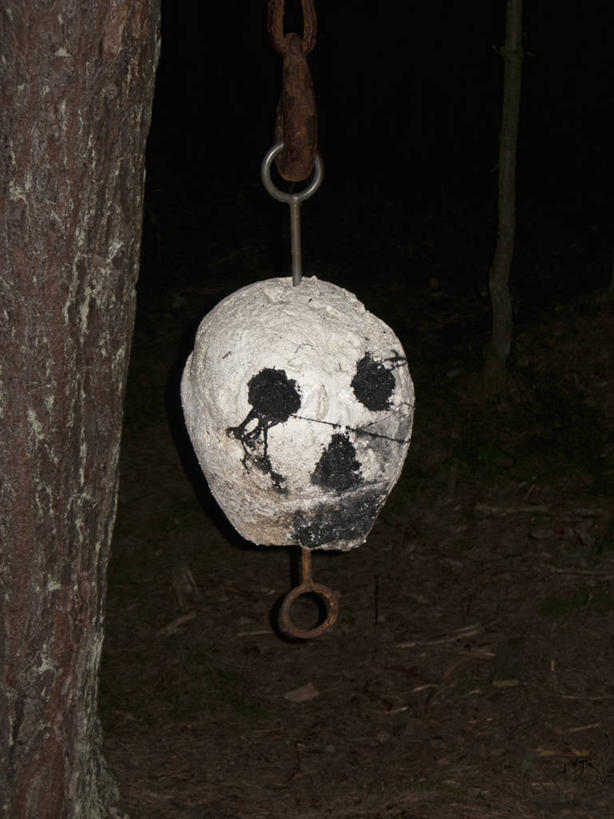 颅骨,无人,竖图,室外,特写,白天,正面,吊挂,悬挂,黑色背景,挂,摄影,影棚,恐怖,可怕,可骇,鼻骨,顶骨,额骨,颈椎,颞骨,下颌骨,颧骨,恐惧,头盖骨,彩图,影棚拍摄,拍摄