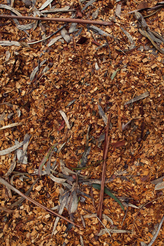 无人,竖图,俯视,室外,特写,白天,静物,美国,一堆,许多,堆叠,堆积,木制,木屑,木制品,堆,北美,北美洲,加利福尼亚,美洲,碎屑,加州,加利福尼亚州,金州,黄金州,刨花,北亚美利加洲,亚美利加洲,马林县,彩图,高角度拍摄