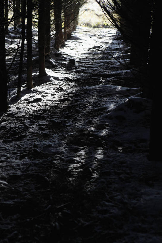 无人,竖图,俯视,室外,白天,河流,石头,树林,水,植物,德国,欧洲,阴影,朦胧,模糊,光线,石子,影子,河水,水流,背光,树,树木,绿色,小溪,阳光,自然,溪水,生长,成长,西欧,逆光,德意志联邦共和国,梅克伦堡.前波美拉尼亚州,梅克伦堡.前波美拉尼亚,石块,岩石,彩图,高角度拍摄