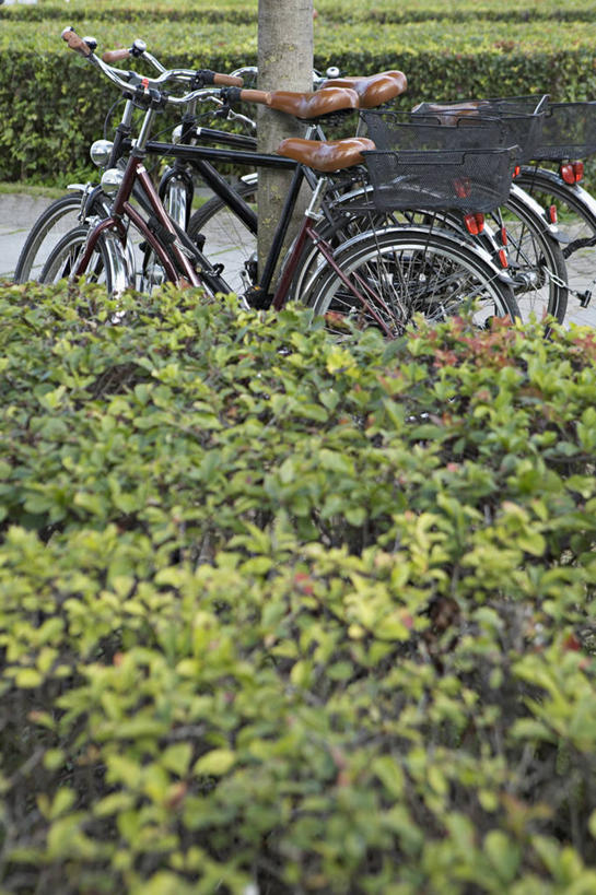 无人,竖图,俯视,室外,白天,度假,美景,城市风光,城市,自行车,欧洲,俄罗斯,亚洲,电力,电线,电线杆,线,景观,电能,线路,娱乐,车,脚踏车,交通工具,享受,休闲,景色,放松,电,电源,载具,能量,俄联邦,俄罗斯联邦,挡书板,书挡,书夹,书立,彩图,高角度拍摄