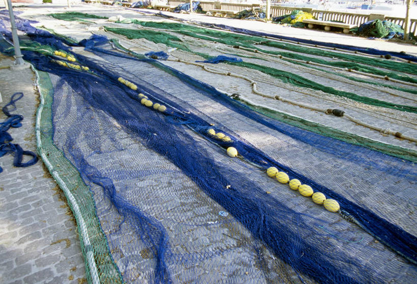 无人,横图,俯视,室外,白天,一排,许多,阴影,整齐,光线,标志,影子,很多,标识,排列,蓝色,绿色,阳光,浮标,渔网,渔具,队列,抓捕,捕捞,鱼网,拉网,捕捞工具,航标,彩图,高角度拍摄,航行标志,助航标志