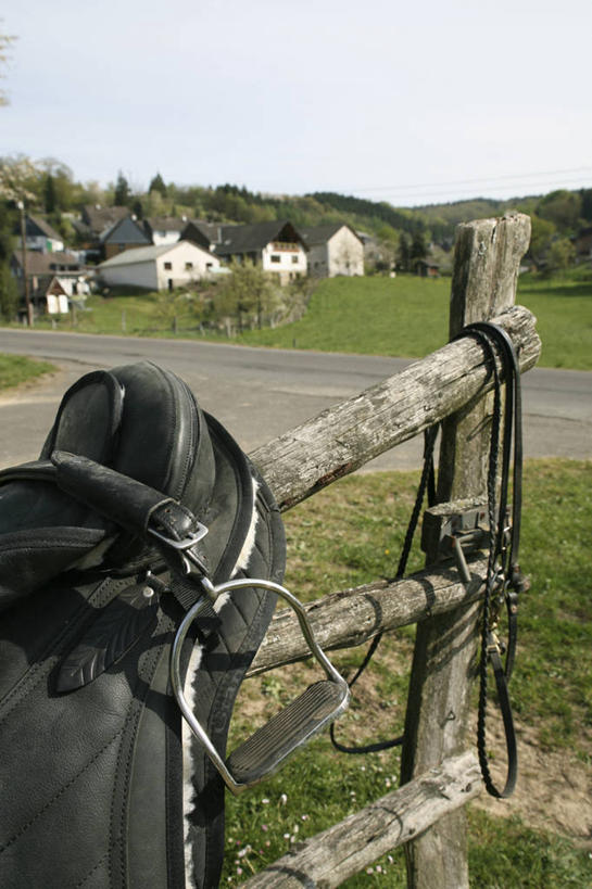 无人,农场,栏杆,竖图,室外,白天,正面,畜牧业,牧场,草地,草坪,美景,植物,阴影,光线,影子,栅栏,景观,篱笆,围栏,护栏,座位,马鞍,草,树,树木,蓝色,绿色,蓝天,天空,阳光,自然,绳子,天,景色,生长,晴朗,成长,绳索,自然风光,畜牧,万里无云,牧业,马具,晴空,晴空万里,彩图,鞍辔,马笼头,辔头