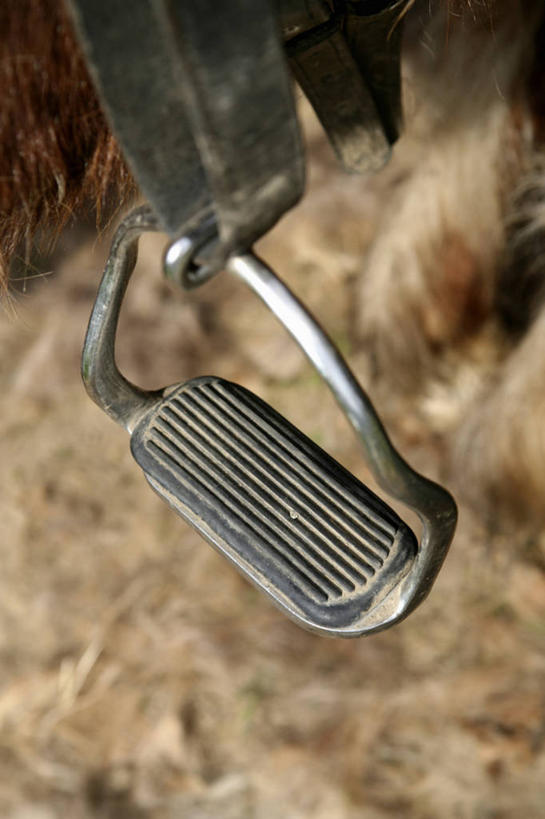 无人,农场,站,竖图,俯视,室外,特写,白天,畜牧业,牧场,植物,马,野生动物,金属制品,阴影,枯萎,朦胧,模糊,光线,金属,影子,枯草,一匹,草,黄色,阳光,动物,站着,运输,牲畜,畜牧,牧业,马具,马镫,站立,半身,彩图,高角度拍摄