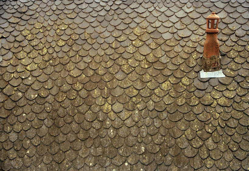 无人,家,横图,俯视,室外,特写,白天,烟囱,建筑,瓦片,房屋,屋顶,屋子,青苔,苔藓,顶棚,瓦,楼房,住宅,建造,屋瓦,彩图,高角度拍摄,房子