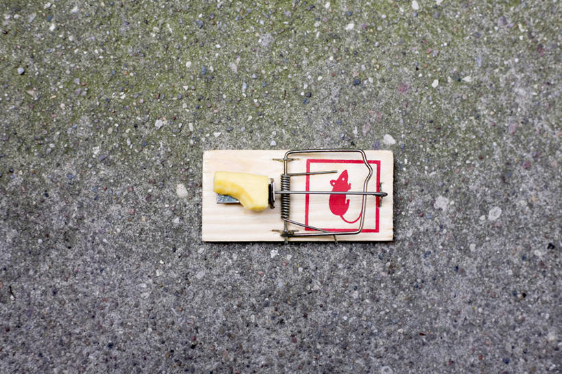 奶酪,无人,横图,俯视,室外,特写,白天,干酪,起司,地面,芝士,营养,一个,黄色,乳酪,诱惑,单个,捕鼠器,勾引,乳制品,毁灭,发酵,补鼠器,灭鼠器,歼灭,灭鼠,消灭,引诱,彩图,高角度拍摄,清除