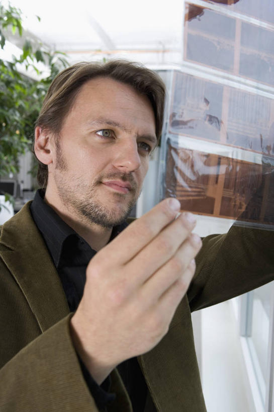 西方人,一个人,商务人士,商务男性,竖图,室内,白天,正面,衬衫,植物,欧洲,欧洲人,仅一个男性,仅一个人,仅一个中年男性,握,套装,盆栽,盆景,拿,拿着,注视,绿色,自然,观察,看,握着,生长,成长,观看,底片,幻灯片,察看,挑选,关注,商务装,选择,胶片,工薪阶层,菲林,男人,男性,中年男性,白种人,白领,上班族,半身,彩图,衬衣,正片