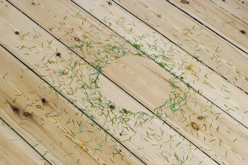 无人,横图,俯视,室内,特写,白天,地板,松树,许多,阴影,反射,影子,地面,凌乱,木地板,松针,排列,混乱,坚定,长寿,贞洁,摆列,纷乱,缭乱,庞杂,彩图,高角度拍摄,布列,分列