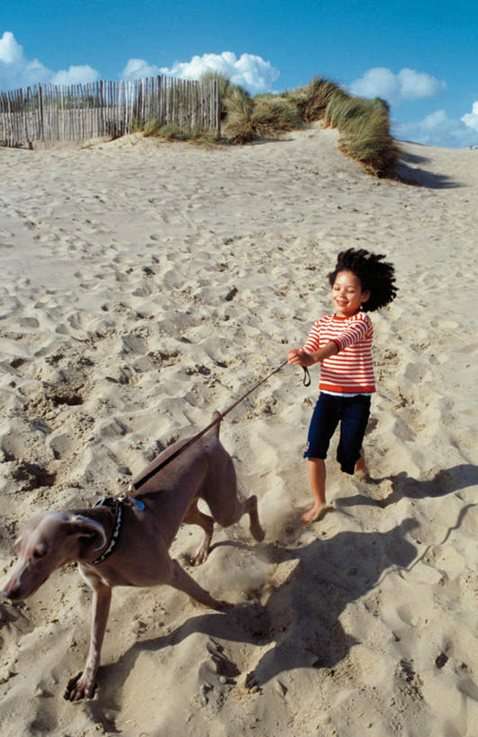 西方人,儿童,腿部,脚,脚趾,脚趾甲,腿,一个人,栏杆,跑,笑,微笑,露齿笑,竖图,室外,白天,正面,纯洁,沙漠,植物,仙人掌,宠物,狗,欧洲,非洲,黑人,欧洲人,仅一个女性,仅一个人,握,阴影,服装,裤子,光线,火焰,影子,栅栏,篱笆,云,云朵,围栏,草药,猎犬,拿,云彩,拿着,注视,牛仔裤,休闲装,光脚,护栏,中药,小孩,衣服,蓝色,白云,蓝天,天空,动物,天,观察,看,仅一个小孩,休闲,赤脚,休闲服,可爱,童年,童趣,握着,服饰,晴朗,观看,链条,察看,关注,药材,中草药,童真,狗链,烂漫,无邪,德国猎犬,忠诚,中药材,本草,牛舌头,天真,女孩,女人,女性,非洲人,孩子,脚指甲,大漠,砂漠,晴空,玉芙蓉,仙巴掌,火掌,霸王树,犬,彩图,全身,女生