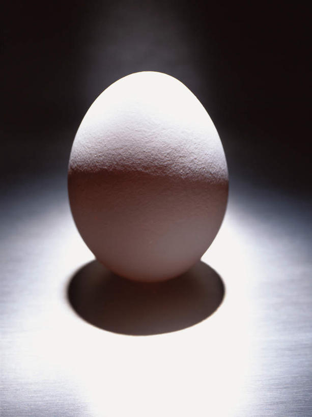 无人,竖图,室内,特写,白天,正面,阴影,黑色背景,朦胧,模糊,光线,影子,蛋,鸡蛋,一个,摄影,影棚,单个,光滑,润滑,卵,滑腻,平滑,彩图,影棚拍摄,拍摄