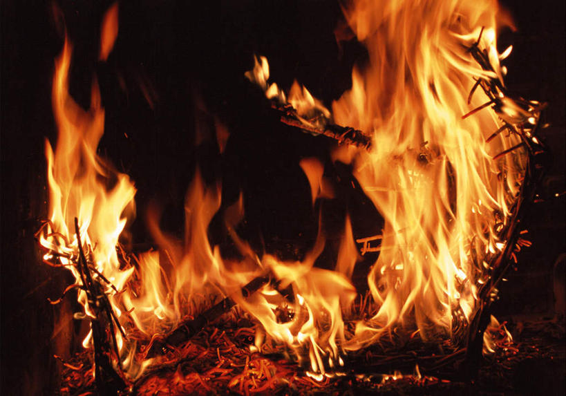 无人,横图,室内,特写,白天,正面,热情,植物,壁炉,火,阴影,光线,火焰,影子,枝条,燃烧,树,树木,树枝,焚烧,虬枝,枝杈,彩图