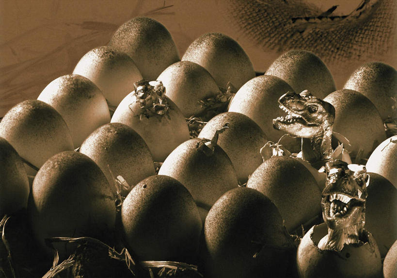 无人,横图,俯视,室内,白天,许多,阴影,光线,影子,很多,排列,恐龙,凶猛,摆列,灭尽,灭绝,史前动物,凶残,恐龙蛋,彩图,高角度拍摄,全身,布列,分列