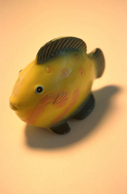 无人,竖图,俯视,室内,特写,白天,绘画,静物,一条,阴影,黄色背景,朦胧,模糊,光线,鱼,彩绘,瓷器,影子,陶瓷,鱼类,纪念品,摄影,影棚,纪念,留念,陶艺,怀念,记念,彩釉,画画,彩图,高角度拍摄,影棚拍摄,拍摄