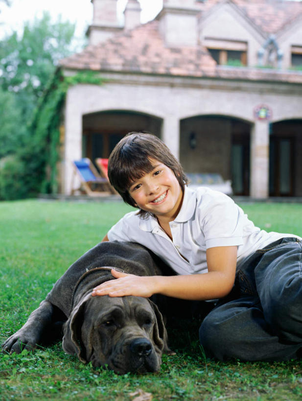 西方人,儿童,一个人,家,坐,笑,摸,微笑,露齿笑,竖图,室外,白天,正面,纯洁,草地,草坪,植物,窗户,宠物,狗,欧洲,欧洲人,仅一个男性,仅一个人,抚摸,阴影,服装,光线,影子,房屋,屋子,公寓,注视,休闲装,洋房,楼房,玻璃窗,住宅,草,树,树木,一只,小孩,衣服,绿色,黑色,阳光,自然,动物,观察,看,仅一个小孩,休闲,休闲服,可爱,童年,童趣,服饰,生长,成长,观看,察看,关注,童真,烂漫,无邪,忠诚,獒犬,牛头獒犬,天真,男孩,男人,男性,白种人,孩子,犬,触摸,接触,坐着,半身,彩图,房子,男生