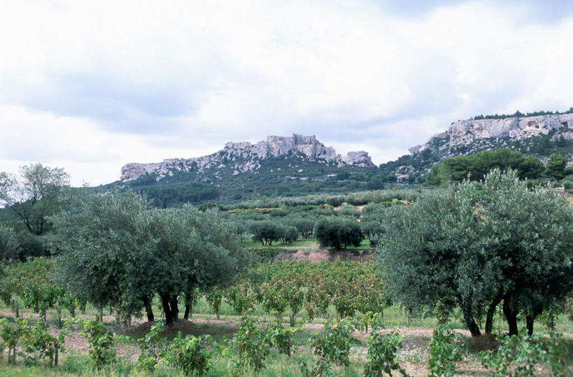 无人,农田,横图,室外,白天,仰视,旅游,度假,庄稼,农作物,美景,山,山脉,法国,欧洲,许多,阴影,光线,影子,景观,山峰,云,云朵,山峦,云彩,娱乐,排列,蓝色,白云,蓝天,天空,阳光,自然,群山,天,享受,休闲,景色,放松,晴朗,普罗旺斯,自然风光,法兰西共和国,法兰西第五共和国,摆列,橄榄树,普罗旺斯省,齐墩果,油橄榄,晴空,彩图,低角度拍摄,耕地,庄稼田,布列,分列