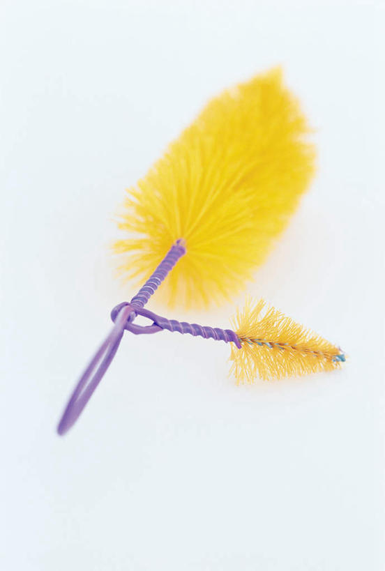 无人,竖图,俯视,室内,特写,白天,白色背景,静物,阴影,光线,影子,两个,紫色,刷子,橙色,摄影,影棚,马桶刷,清洁用具,彩图,高角度拍摄,影棚拍摄,拍摄