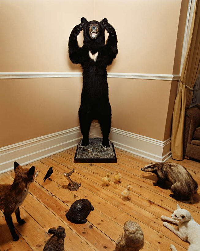 无人,站,举,竖图,室内,白天,正面,窗帘,地板,沙发,哺乳动物,宠物,狐狸,鸡,猫,猫头鹰,鸟,野生动物,熊,黑熊,许多,阴影,装饰,光线,鸟类,爬行动物,蛇,兔子,影子,墙,地面,家禽,木地板,墙壁,墙面,黄色,帘子,动物,托,站着,张嘴,遮阳,可爱,牲畜,活泼,怪异,华丽,修饰,兔,点缀,奇怪,冷血动物,神奇,奇幻,奇特,猫咪,狡猾,凶猛,脊椎动物,长虫,张大嘴巴,布艺沙发,衬托,美观,雅致,雅观,狡诈,黑瞎子,黑足雪貂,黑足鼬,熊瞎子,古怪,奇异,残暴,凶残,张开嘴,鼬,鸮,枭,举起,举手,举着,向上举,向上伸,向上托,站立,半身,彩图,冷血