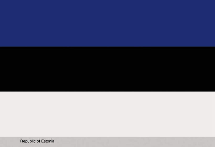 无人,横图,插画,室内,白天,正面,数码,科技,旗帜,国旗,欧洲,爱沙尼亚,一面,阴影,条纹,光线,网络,影子,高光,几何,计算机图形,合成,图画,画,一个,蓝色,白色,黑色,单个,电脑合成图,数码合成图,漫画,东欧,写实,具体,具象,爱沙尼亚共和国,旗,彩图