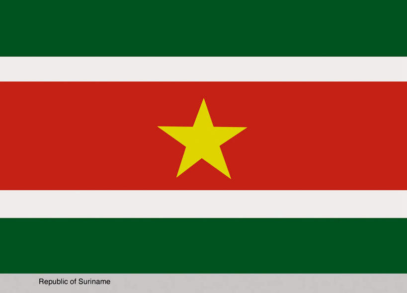 无人,横图,插画,室内,白天,正面,数码,科技,旗帜,国旗,苏里南,一面,阴影,条纹,光线,网络,影子,星星,高光,几何,计算机图形,合成,图画,画,一个,黄色,红色,绿色,白色,星形,南美,单个,电脑合成图,数码合成图,南美洲,拉丁美洲,美洲,漫画,五角形,写实,具体,具象,亚美利加洲,南亚美利加洲,旗,五角星,彩图