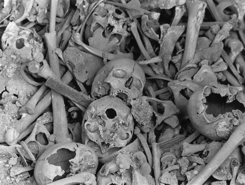 颅骨,骨骼,无人,横图,俯视,黑白,室外,白天,一堆,许多,堆叠,堆积,骨头,很多,凌乱,墓地,堆,骨架,混乱,坟墓,陵墓,坟场,鼻骨,顶骨,额骨,颈椎,颞骨,下颌骨,颧骨,纷乱,缭乱,庞杂,头盖骨,高角度拍摄